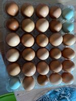 Frische Eier zu verkaufen Sachsen-Anhalt - Selke-Aue Vorschau