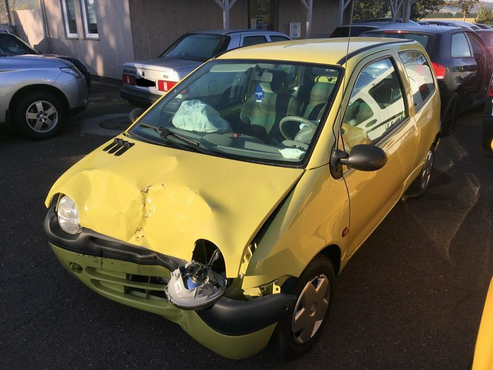 Schlachtfest Renault Twingo (I) 1.2  43kW/58PS in Bad Frankenhausen/Kyffhäuser