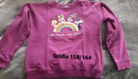 Looney Tunes Sweat Shirt gr. 158/164 Sachsen - Klipphausen Vorschau