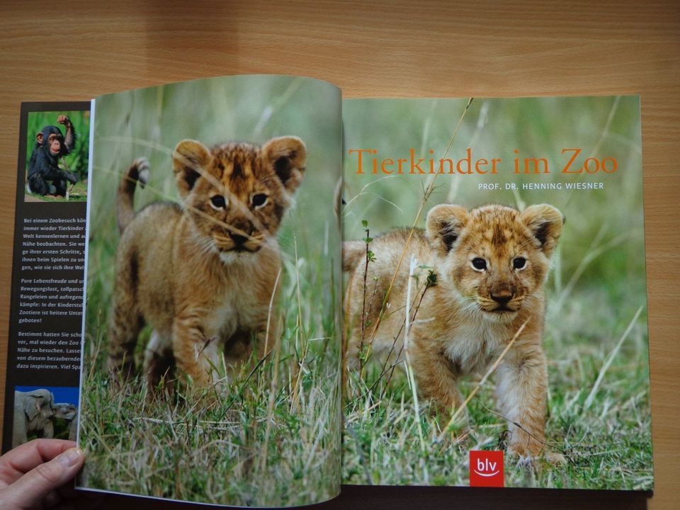 Großbildband "Tierkinder im Zoo", von Prof. Dr. Henning Wiesner . in Hoyerhagen