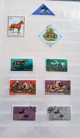 Briefmarken Sammlung Nordrhein-Westfalen - Neunkirchen Siegerland Vorschau