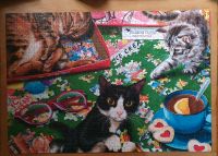 Schönes 1000 Teile Puzzle  "Puzzle Cats" Bluebird Niedersachsen - Wanna Vorschau