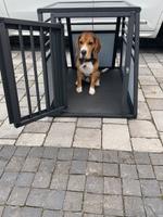 Aluminium Hunde Box Baden-Württemberg - Neuenstein Vorschau