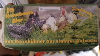 Eier 10er Pack Rassegeflügel Hühner Natur bunte Eier Baden-Württemberg - Wolpertshausen Vorschau