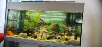 Aquarium für Fische Nordrhein-Westfalen - Unna Vorschau