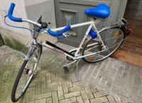 Pegasus Fahrrad Selten 28 Zoll Friedrichshain-Kreuzberg - Kreuzberg Vorschau