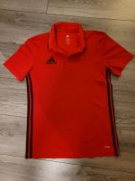 Adidas Poloshirt Gr. S Nordrhein-Westfalen - Blomberg Vorschau
