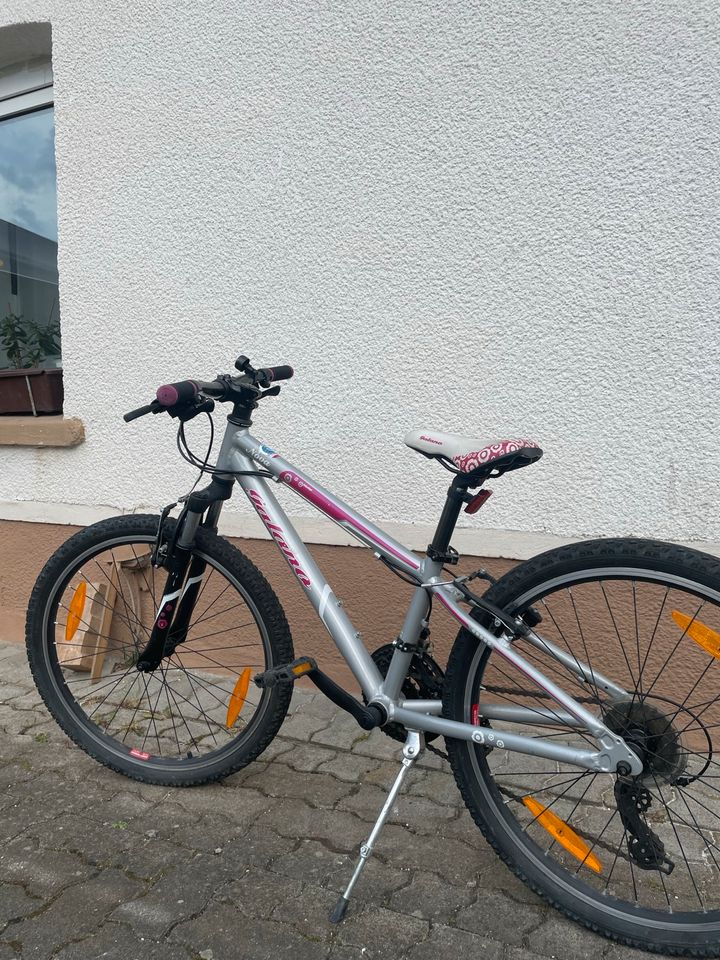 Fahrrad pink weiß in Balve