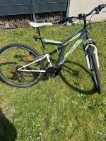 Rex Bergsteiger 1.2 Mountainbike Nordrhein-Westfalen - Bottrop Vorschau