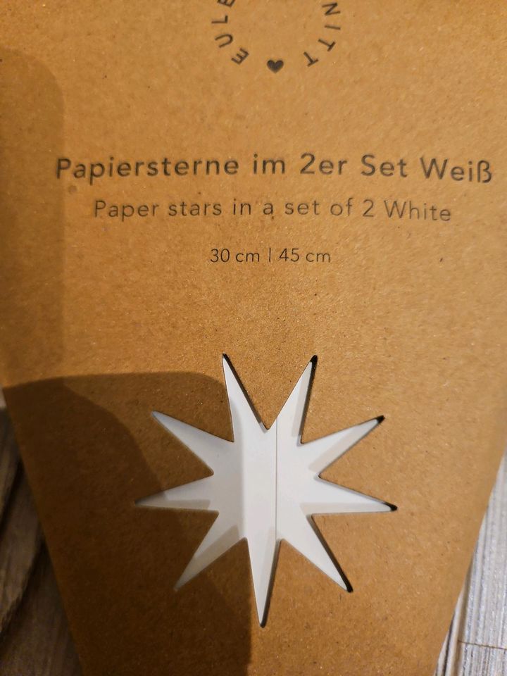 Eulenschnitt Papiersterne in Zwinge