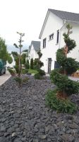 Gartenarbeiten, Rasen, Baggerarbeiten, Heckenschnitt, Terassenbau Baden-Württemberg - Kraichtal Vorschau