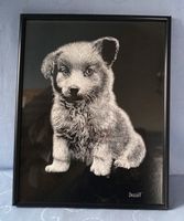 Bild Druck Hund - Droguet Glasbilderrahmen Maße ca. 35,5 x  28 cm Niedersachsen - Lehrte Vorschau