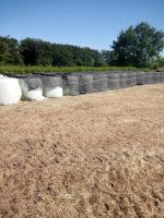 Silageballen für Pferd und Rind Niedersachsen - Neustadt am Rübenberge Vorschau