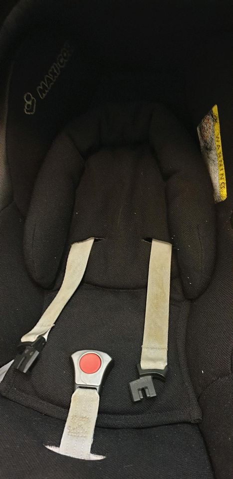 Maxi Cosi Isofix Babyschale mit Iso Base zum einklicken in Dresden