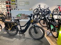 Riese & Müller Multicharger GT rohloff  Vollausst. NP:8200€ Bayern - Lauf a.d. Pegnitz Vorschau