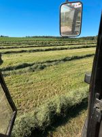 Suche Gras für Grassilage Bayern - Hohenpolding Vorschau