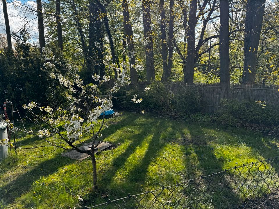 Kleingarten Rostock Brinckmannsdorf / Schweizer Wald in Rostock