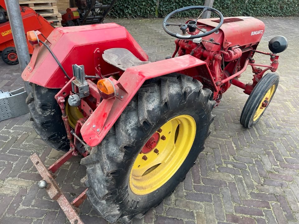 bungartz / gutbrod schlepper / traktor / kleintraktor in Gronau (Westfalen)