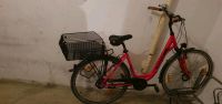 Pegasus 28 Zoll Damenfahrrad Mecklenburg-Vorpommern - Greifswald Vorschau