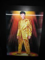 3 D Wandbild Elvis Presley Neu gut erhalten Mitte - Wedding Vorschau