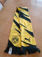 BVB Schal - Dortmund -Fan Bayern - Ebelsbach Vorschau