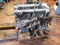 Mercedes W123 Motor 280 Vergaser 1978 Niedersachsen - Wietmarschen Vorschau