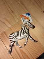 Tip toi Zebra neu Niedersachsen - Bad Eilsen Vorschau