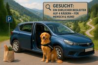 zuverlässiger Kleinwagen gesucht - ehrlich, fair,mit Herz Baden-Württemberg - Freudenstadt Vorschau