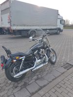Harley-Davidson XL1200C Rheinland-Pfalz - Bad Kreuznach Vorschau