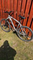 Mountainbike * Silber * 19 Zoll *  49 cm * top Niedersachsen - Garbsen Vorschau