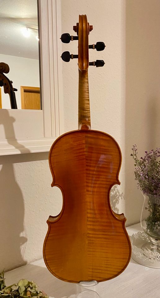 Alte Geige /Meistervioline sehr gepflegt in Leopoldshöhe