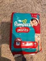 Pampers Pants Gr7 neu und OVP Niedersachsen - Braunschweig Vorschau