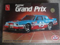 AMT ertl Pontiac Grand Prix Nascar 1/16 1:16 Richard Petty NEU Sachsen - Auerbach (Vogtland) Vorschau