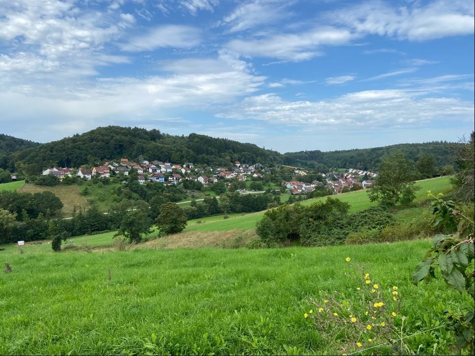 Bauplätze in Gnadental mit Panoramablick in Michelfeld