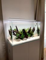 Aquael Aquarium Unterschrank weiß 60x30x80cm Nordrhein-Westfalen - Schmallenberg Vorschau