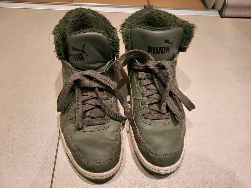 Puma Boots gefüttert Gr. 39 in Monheim am Rhein