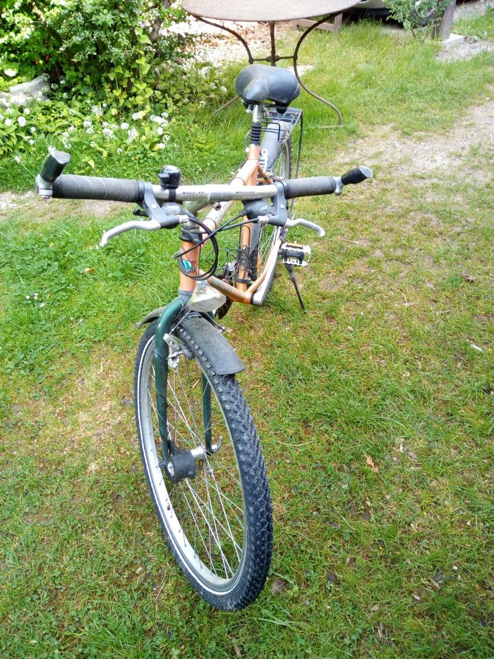 Fahrrad 26" in Prien