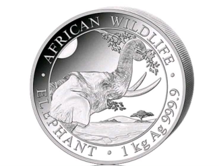 1kg Silber Somalia Elefant African Wildlife Elephant 2023 2000 Sh in Bad Neustadt a.d. Saale