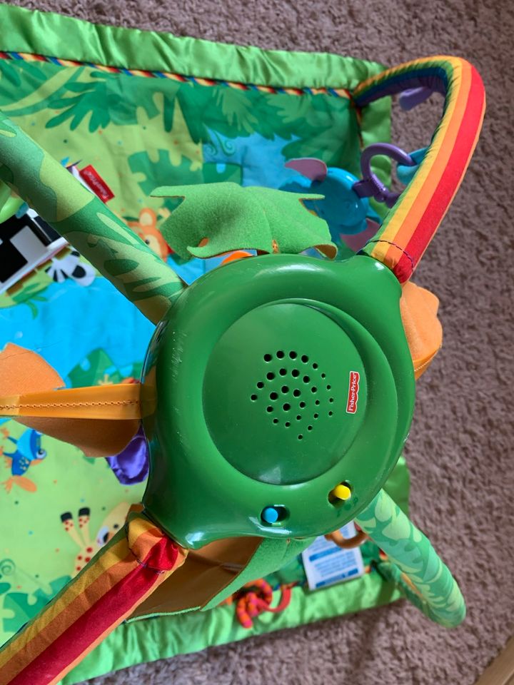 Fisher-Price Spielbogen, Rainforest, Spieldecke, in Dittweiler