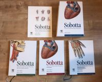 Sobotta- Atlas der Anatomie, 23. Auflage Rheinland-Pfalz - Buchholz (Westerwald) Vorschau