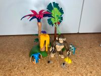 Playmobil Super 4 - Riesenaffe und Dinodschungel Niedersachsen - Braunschweig Vorschau