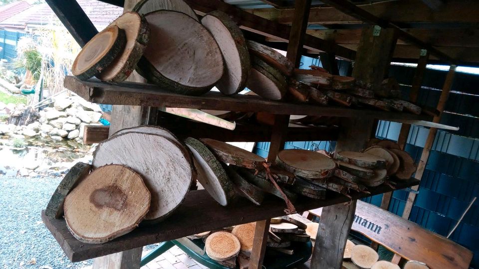 Baumscheiben Holzscheiben in Ostrhauderfehn