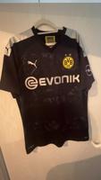 BVB Sondertrikot 110 Jahre Münster (Westfalen) - Centrum Vorschau