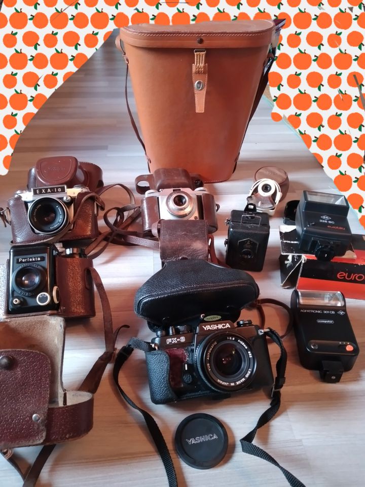 Aufgepasst! Kleine Sammlung von alten Kameras+Zubehör in Hiddenhausen