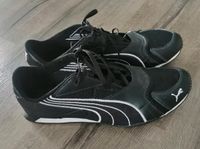 Puma Herren Sneaker schwarz Gr 42,5 turnschuhe Rheinland-Pfalz - Wirschweiler Vorschau