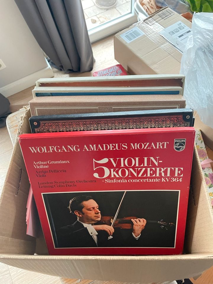 Schallplatten unterschiedliche Künstler ( Mozart, Bach, Rollini…) in Schlangen