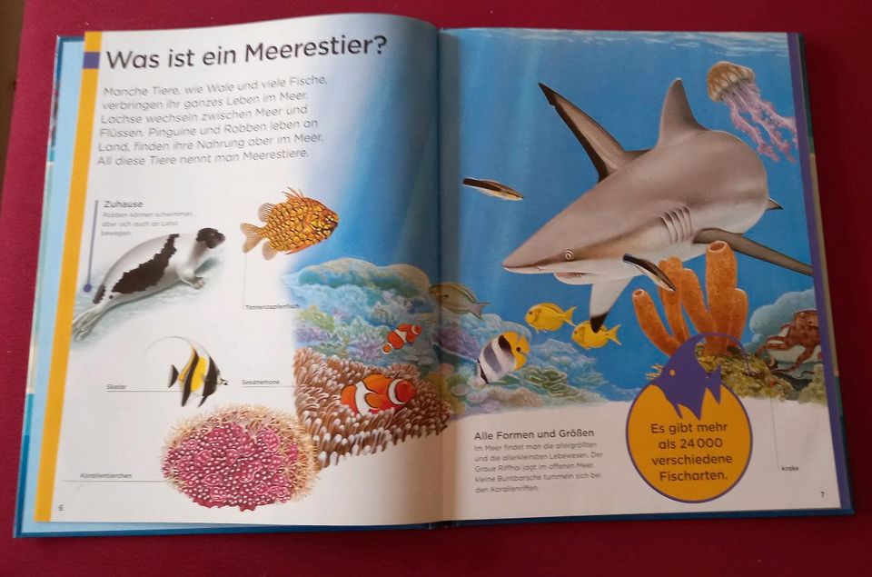 4 Bände von Xenos Tiere Insekten Meerestiere Unser Körper in Seevetal