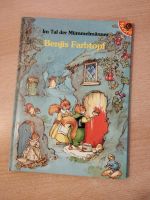 Im Tal der Mümmelmänner, Benjis Farbtopf, altes Kinderbuch Bayern - Weißenburg in Bayern Vorschau