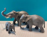 Schleich Asiatische Elefanten - Famile Mecklenburg-Vorpommern - Seebad Bansin Vorschau