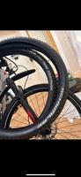 Schwalbe Racing Ralph 2,25 27,5 Zoll Reifen Mantel MTB Berlin - Tempelhof Vorschau